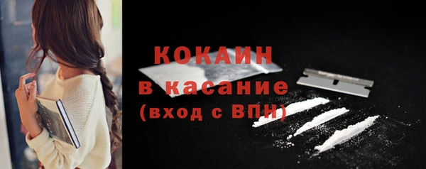 стафф Кодинск