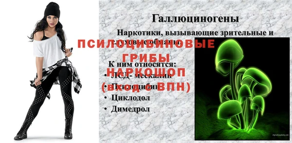 ешки Липки