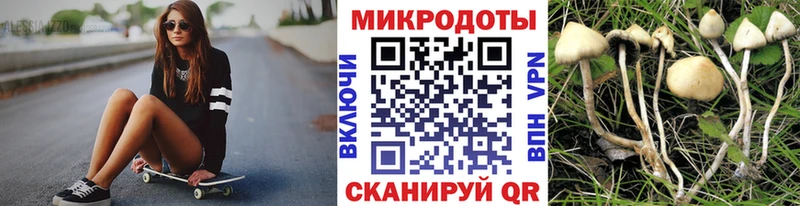 Галлюциногенные грибы Psilocybe  гидра зеркало  Сухиничи 